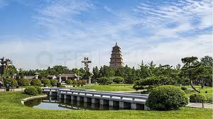 世界杯官网 南开城市园林绿化养护管理标准